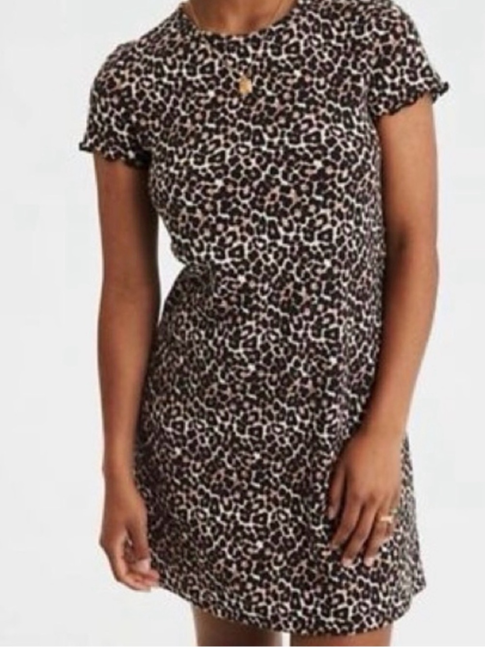 American Eagle Outfitters Leopard Print Mini Dress - Brown & Black